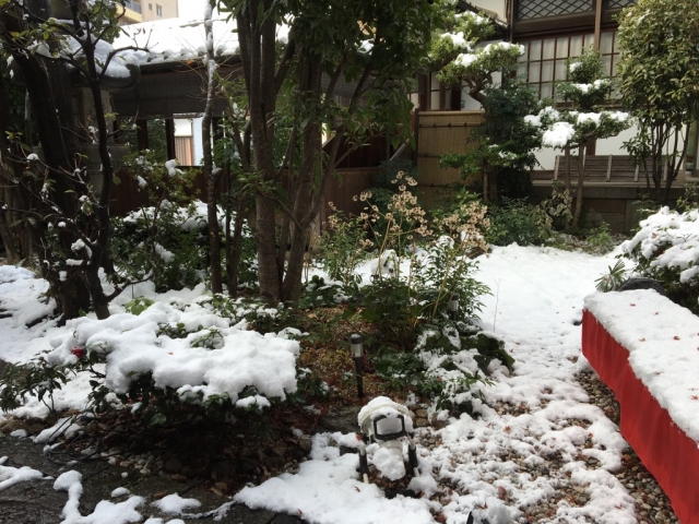 八雲雪