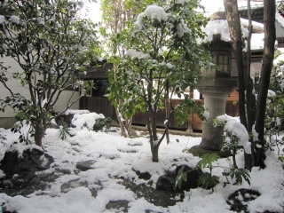 八雲雪 八雲雪